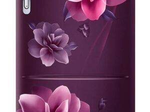 Samsung 236 L 3‑Star Frost Free Double Door Refrigerator