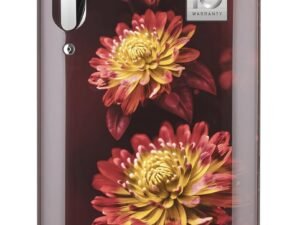 LG 185 L 5‑Star Inverter Direct‑Cool Single Door Refrigerator