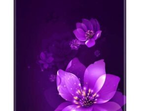 Samsung 236 L 3‑Star Frost Free Double Door Refrigerator