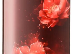 LG 185 L 5‑Star Inverter Direct‑Cool Single Door Refrigerator