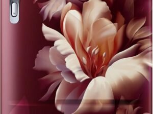 LG 185 L 5‑Star Inverter Direct‑Cool Single Door Refrigerator