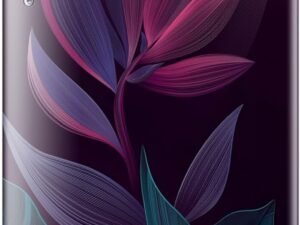 LG 185 L 5‑Star Inverter Direct‑Cool Single Door Refrigerator